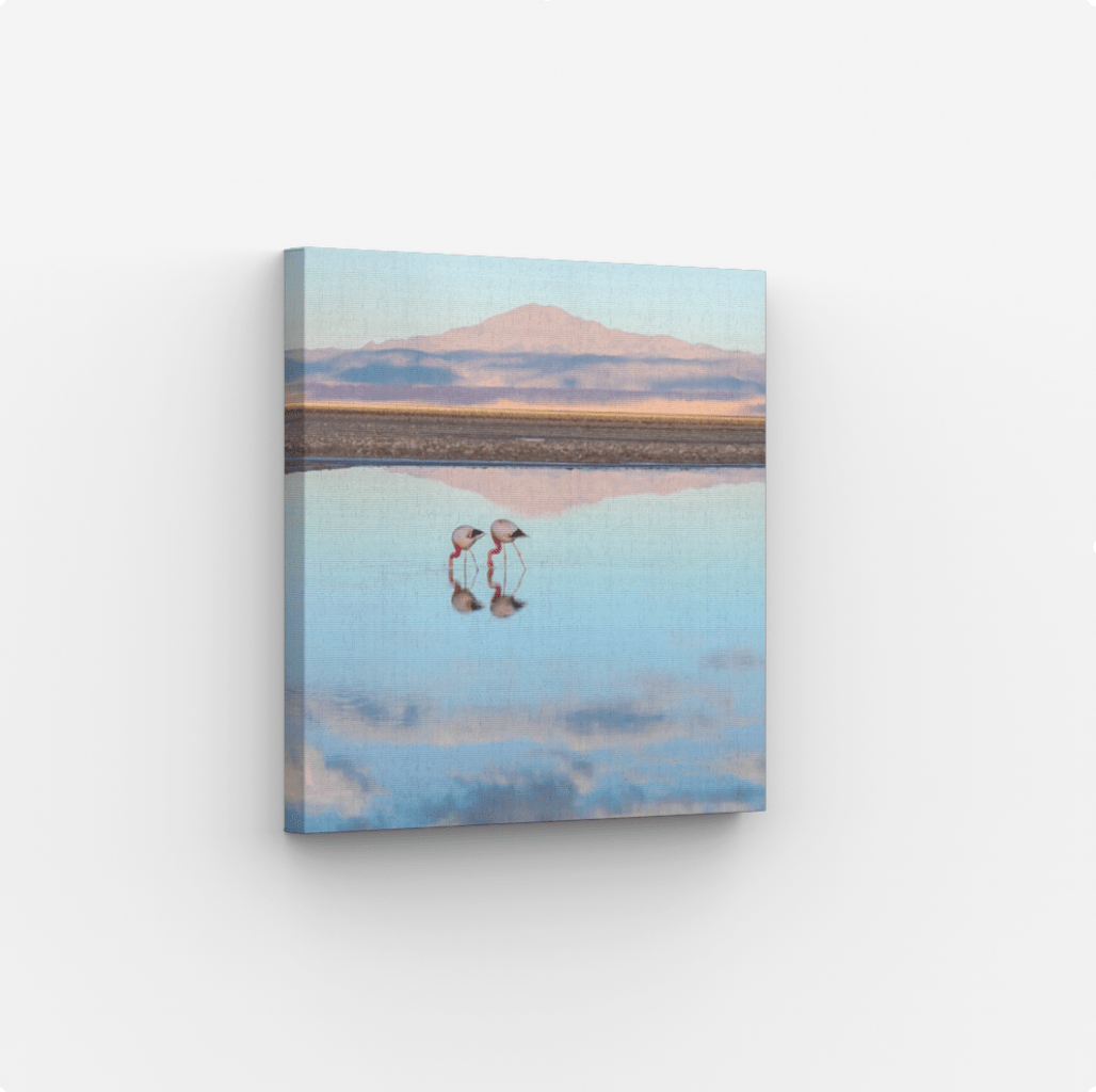 Atacama Reflections - Gallery Twelve