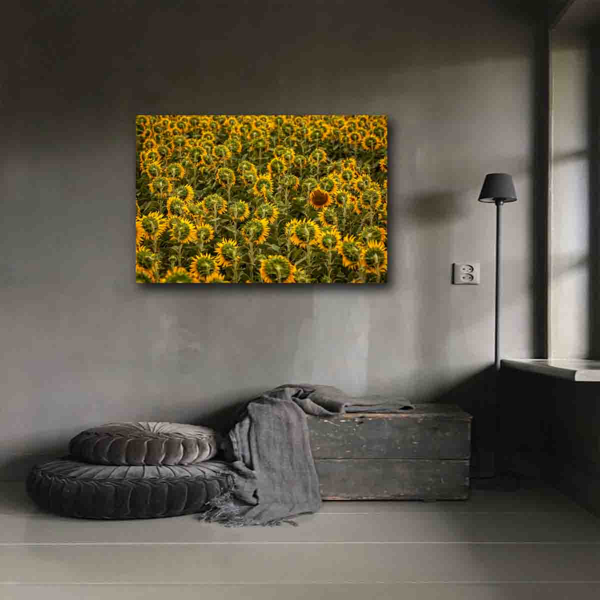 Sunflower Solitude - Gallery Twelve